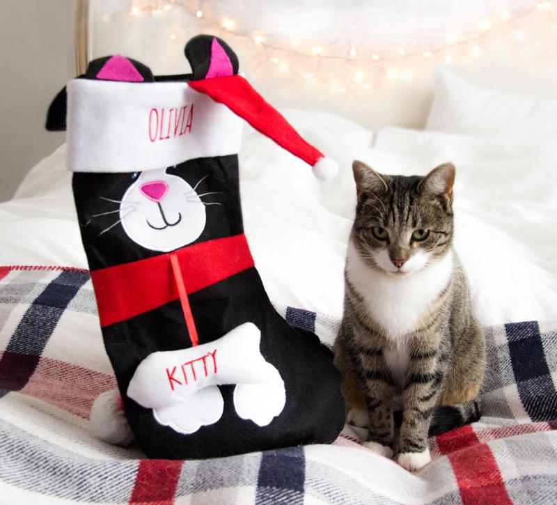 Personalised Cat Christmas Stocking, Embroidered WithCongratulations