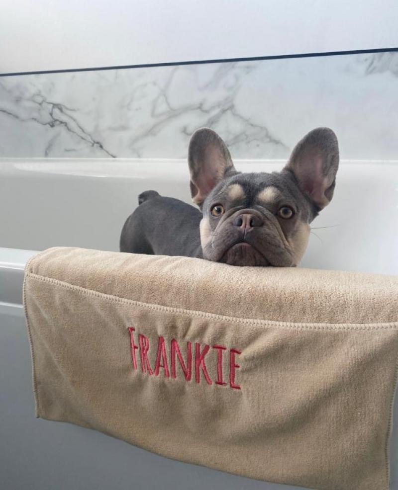 Personalised Glove Microfibre Pet Towel