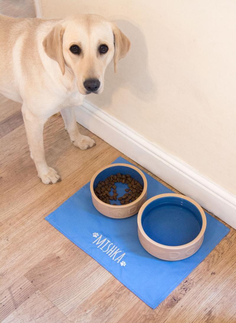 Dog bowl placemat on sale