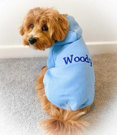 Personalised Dog Hoodie