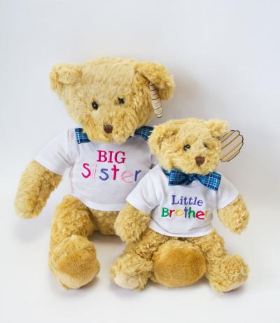 Big sister little brother teddy bears