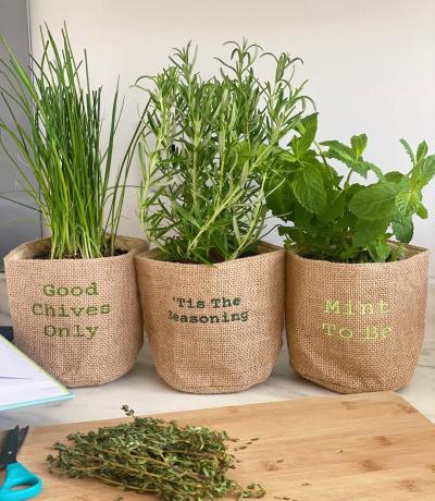 Kitchen Herbs