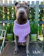 Knitted dog jumper