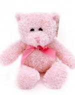 Personalised Bella The Bear - Pink