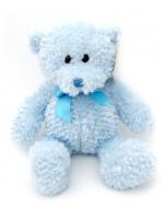 Personalised Blue Teddy Bear with T-shirt