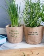 Kitchen Garden Herbs